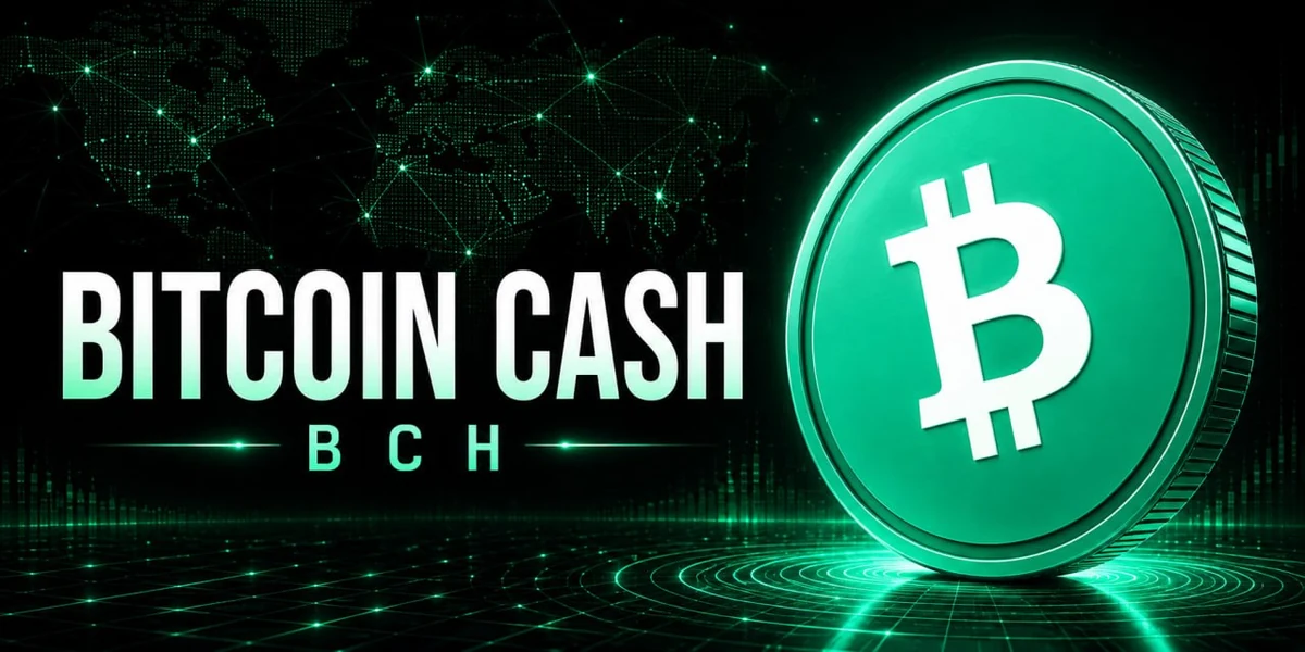 Bitcoin Cash 정보 페이지 미리보기