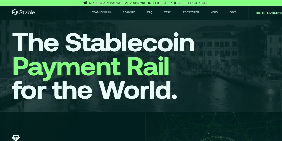 Stable STABLE 대표 이미지