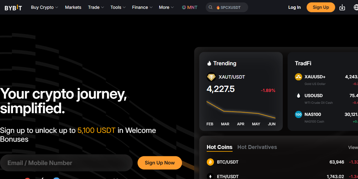 Bybit resmi web sitesi ?nizlemesi